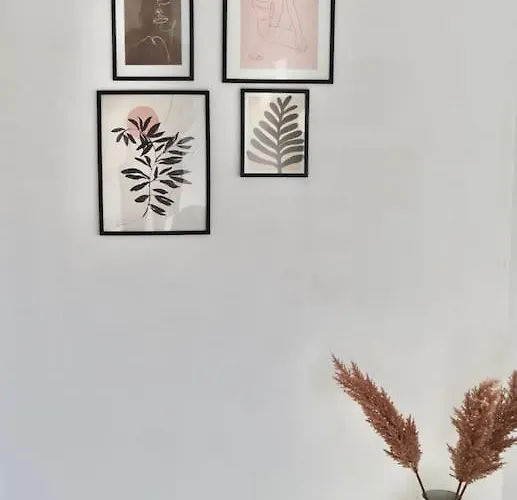 Ground Floor Apartment/wi-fi+free Parking * Ostende